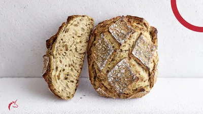 Sauerteig-Leitfaden: Alles, was Sie über Sauerteig wissen müssen