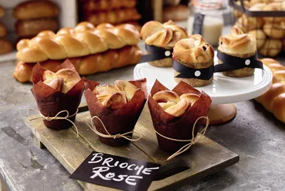 Sapore Carmen 50 Sauerteig