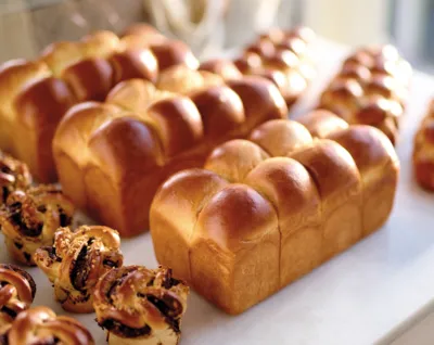 Cubease Ultimative Frische Backmittel