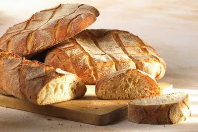 Sapore Tosca Sauerteig