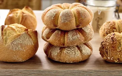 Sapore Rigoletto Sauerteig